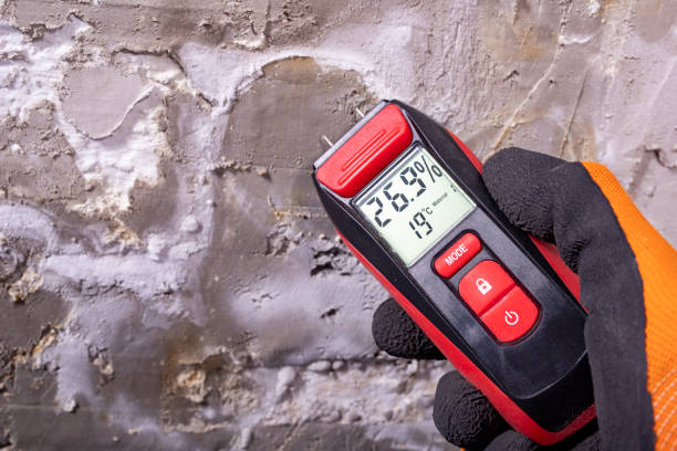 Best Crawl Space Mold Remediation in Central City, NE