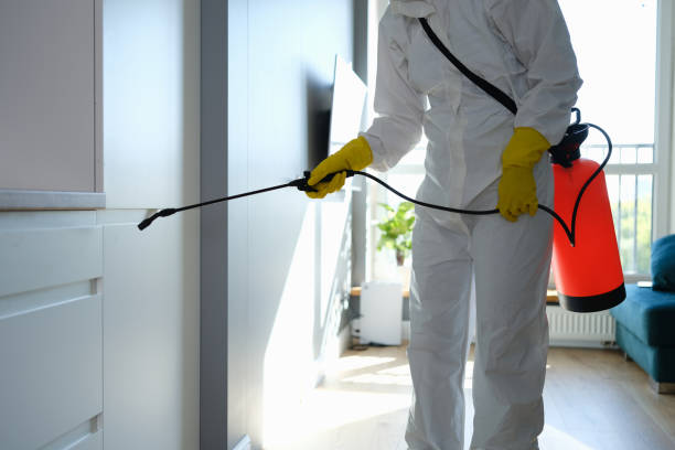 Professional Mold Remediation in Central City, NE