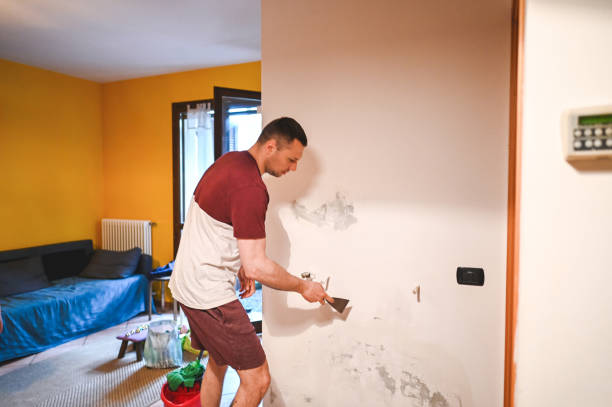 Best Basement Mold Remediation in Central City, NE